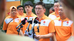 Related article image