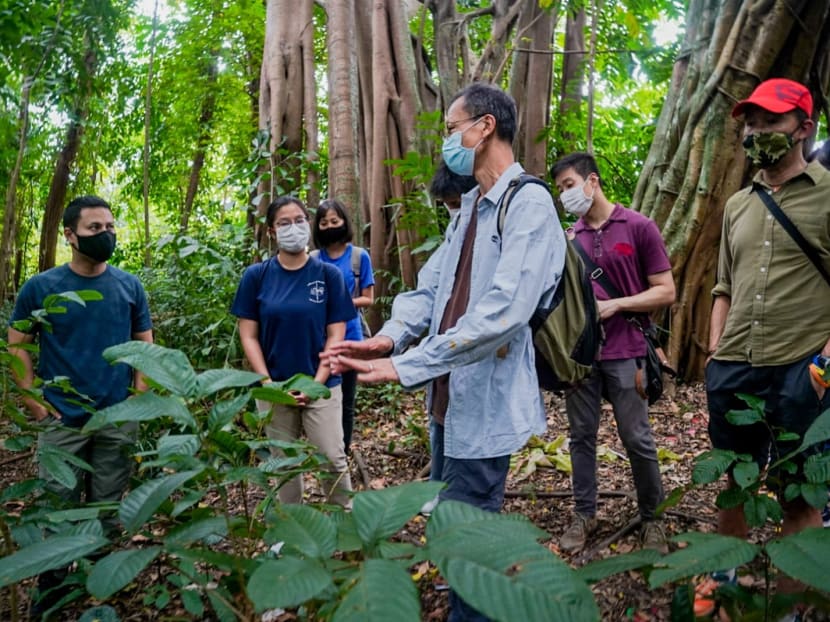 In a Facebook post, Minister for National Development Desmond Lee said he visited Ulu Pandan on Wednesday, accompanied by representatives from the National Parks Board (NParks), Nature Society (Singapore) and Singapore Youth Voices for Biodiversity. In a Facebook post, Minister for National Development Desmond Lee said he visited Ulu Pandan on Wednesday, accompanied by representatives from the National Parks Board (NParks), Nature Society (Singapore) and Singapore Youth Voices for Biodiversity.