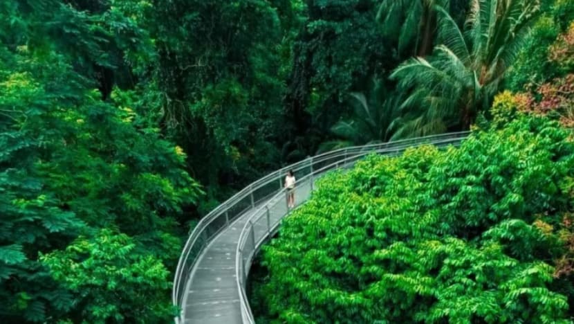  Sebahagian jejak Taman Telok Blangah Hill ditutup buat kerja pembaikan sehingga 2026