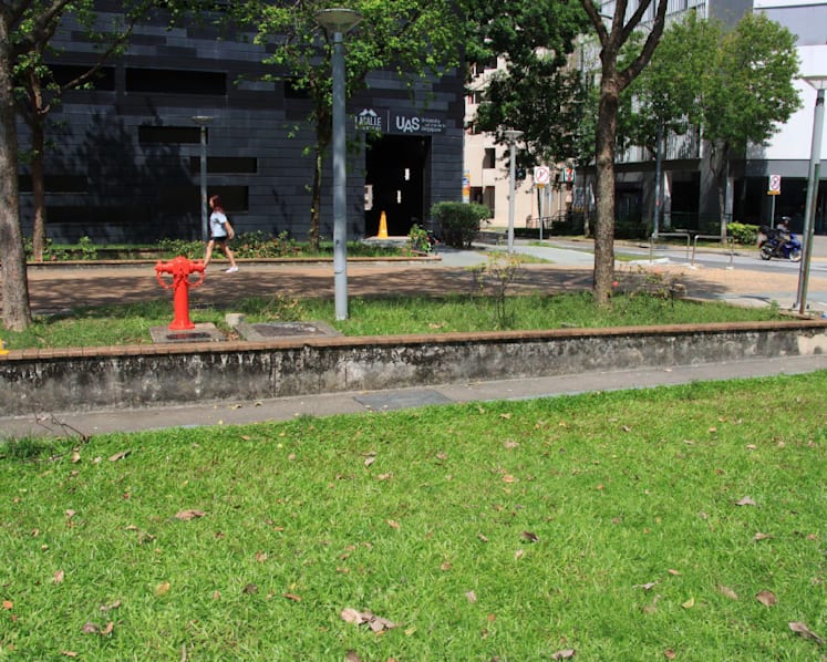 Man who watched alleged sexual assault of maid in Rochor field before raping her gets jail, caning