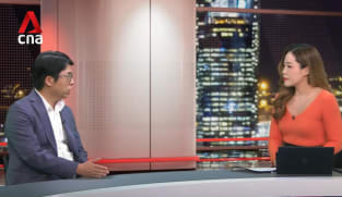 Professor Johan Sulaeman on Temasek's and MAS' green investments 