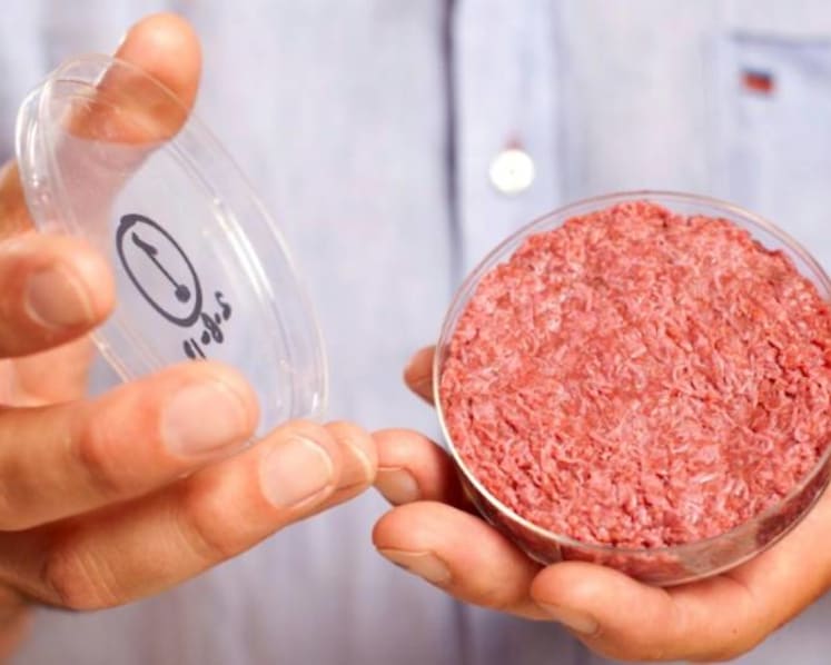 Commentary: Lab meat sceptics, please just get out of the way 