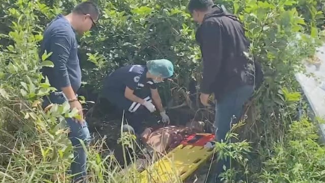 泰男出车祸重伤无人知 瘫在路边六天才获救