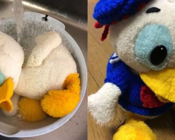 Japan museum takes care of lost stuffed toy for 30 years, still hopes to find its owner