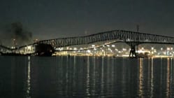 Related article image