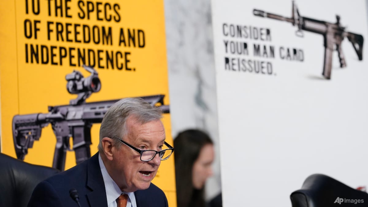 Crime and gun control polarising issues for voters heading into US ...