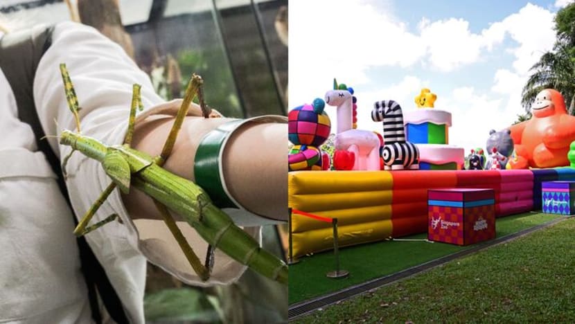 Singapore Zoo to mark 50th anniversary with new behind-the-scenes insects tour, ZOObilee trail Singapore Zoo to mark 50th anniversary with new behind-the-scenes insects tour, ZOObilee trail