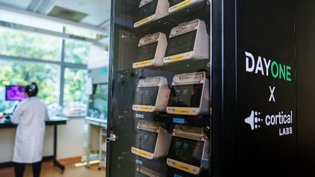 DayOne Launches Singapore's First Biological Data Center Prototype with Cortical Labs and NUS Medicine