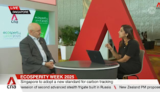 Singapore’s new carbon tracking system helps businesses cut emissions: WBCSD CEO