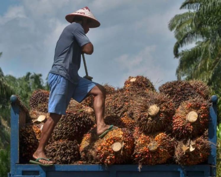 Commentary: Southeast Asia will face the music with methane emissions