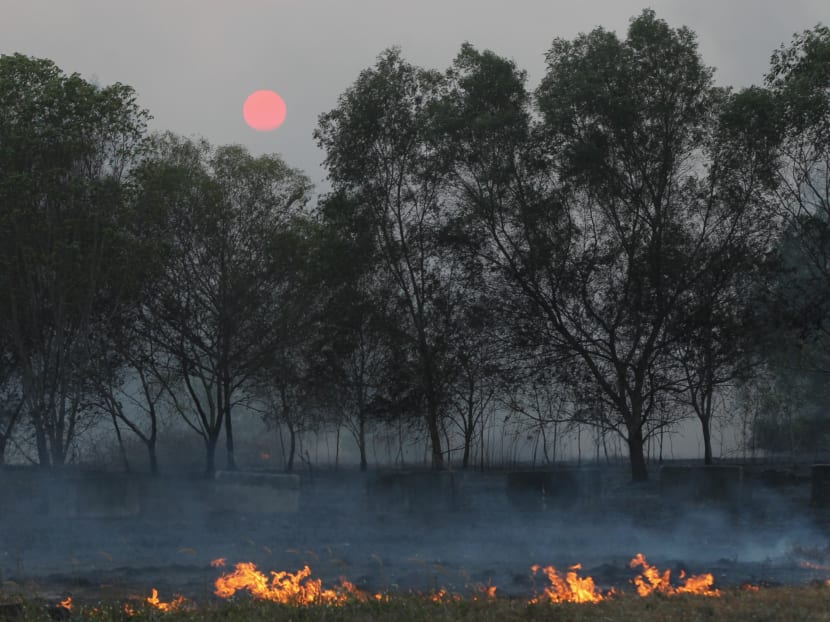 Four vegetation fires reported around Singapore