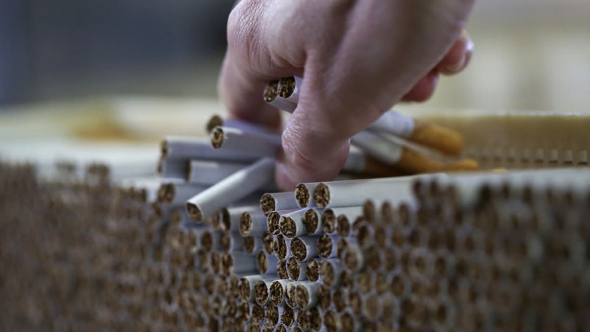 Contraband cigarettes seized highest since 2009 - CNA