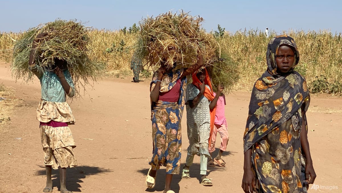 Families separated, children killed as survivors flee Sudan’s ‘apocalyptic’ El-Fasher Families separated, children killed as survivors flee Sudan’s ‘apocalyptic’ El-Fasher