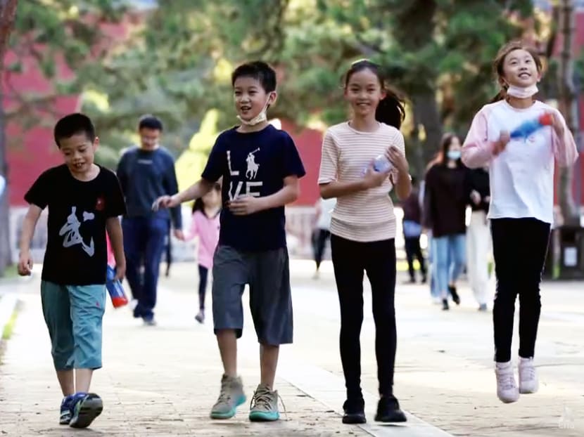 For China, why the stork may be the limit instead of the sky