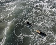 El Nino set to be strong, UN warns