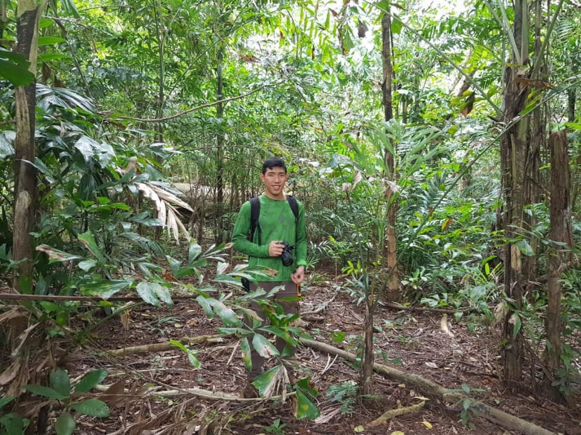 A wild macaque that entered his home when he was a teenager did not stop Mr Karl Png, 21, from engaging with wildlife. He serves as a guide at the Bukit Timah Nature Reserve and is one of 50 youths who have signed up for a six-month programme called the Biodiversity Challenge, which aims to motivate, train and equip youths to engage their communities on issues surrounding human-wildlife interactions. Photo courtesy Karl Png