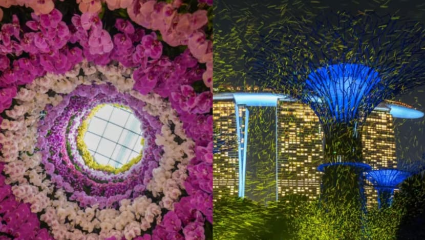 Pertunjukan cahaya ala kelip-kelip dan pameran orkid berskala besar di Taman di Pesisiran Pertunjukan cahaya ala kelip-kelip dan pameran orkid berskala besar di Taman di Pesisiran