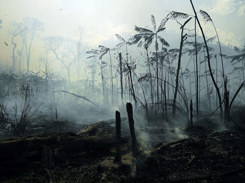 How Covid-19 foretells the climate crisis and shows the value of one's life depends on nationality