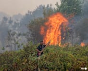 Singapore to issue haze prevention notices to three more firms in Indonesia over Kalimantan fires