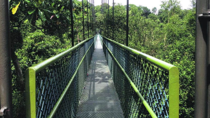 More measures to reduce impact of site surveys for Cross Island Line