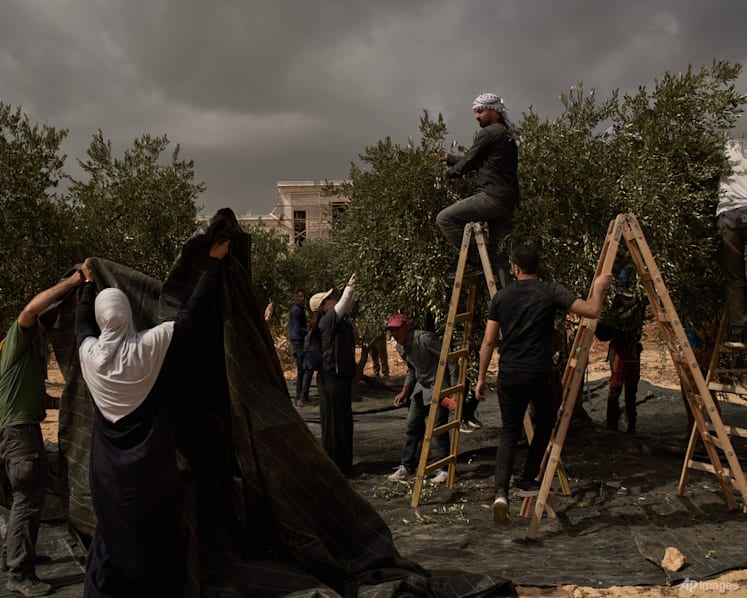 Israeli settlers attack European diplomats, beat French mayor