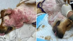 Related article image