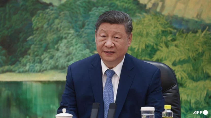 China, Russia should safeguard security, development interests, says Xi