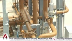 Industry decarbonisation: Singapore to import first biomethane supplies by end-2028 