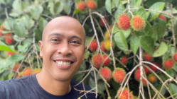 Related article image