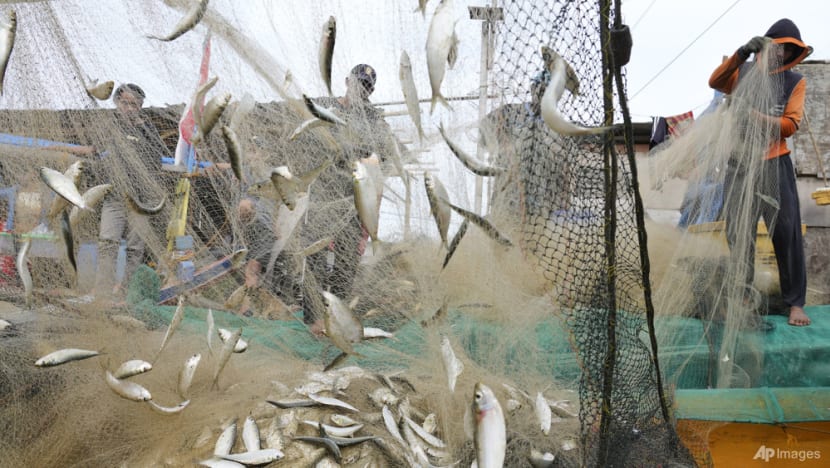 Commentary: El Nino is coming and that can spell disaster for the world's fishing industry Commentary: El Nino is coming and that can spell disaster for the world's fishing industry