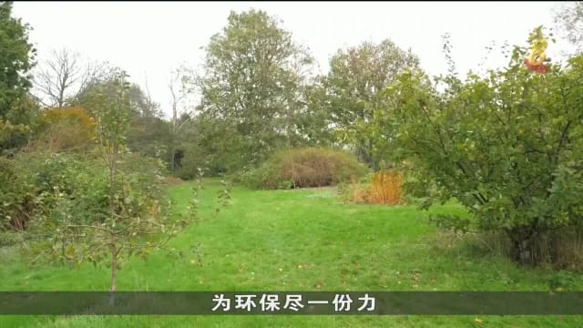 英国承诺2050年实现净零排放目标 可是绿地面临消失风险