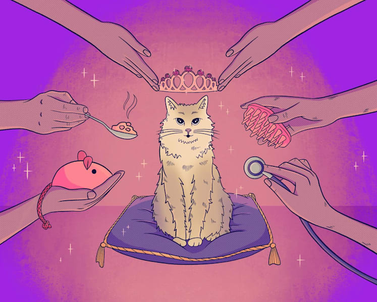 The Big Read in short: When pets are no longer just pets