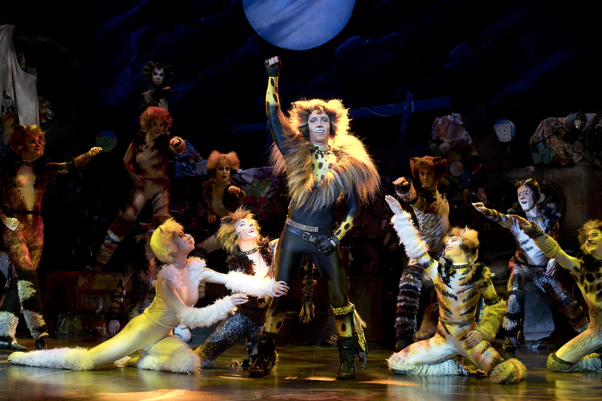 Cats The Musical Is Now In Singapore — And This Is What Cats First ...