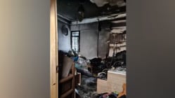 Related article image