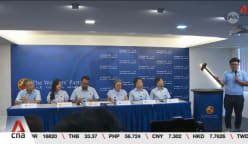 GE2025: WP says party renewal is 'ever ongoing' exercise as it introduces four new faces