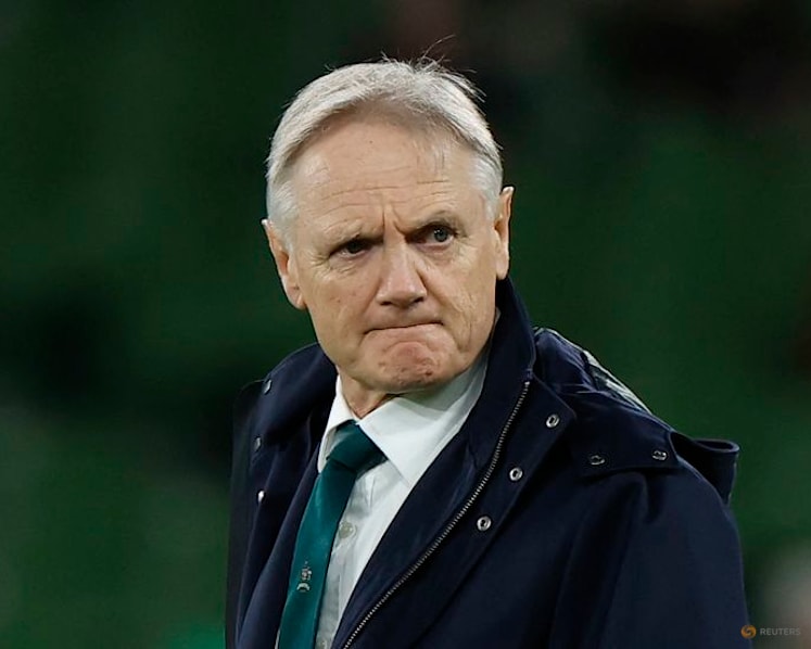 Former Australia coach Schmidt returns to Ireland in consultancy role