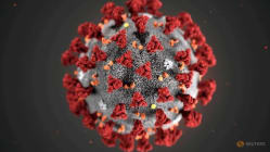 Related article image