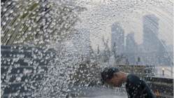 Related article image