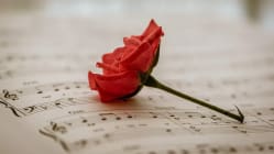 Related article image