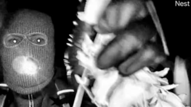 美国知名主播母亲疑被绑架 一人被拘留后获释