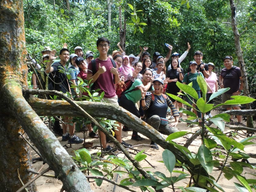 Explorers checking out a site for mangrove restoration at Jalan Durian, as part of the Restore Ubin Mangroves initiative.
