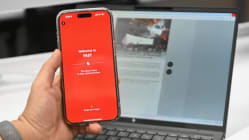 Related article image