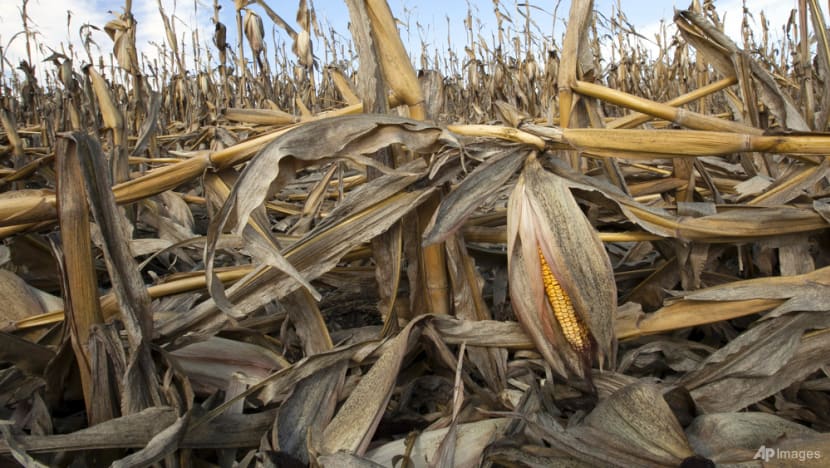 The way we eat could add nearly 1 degree of warming by 2100