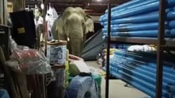 Related article image