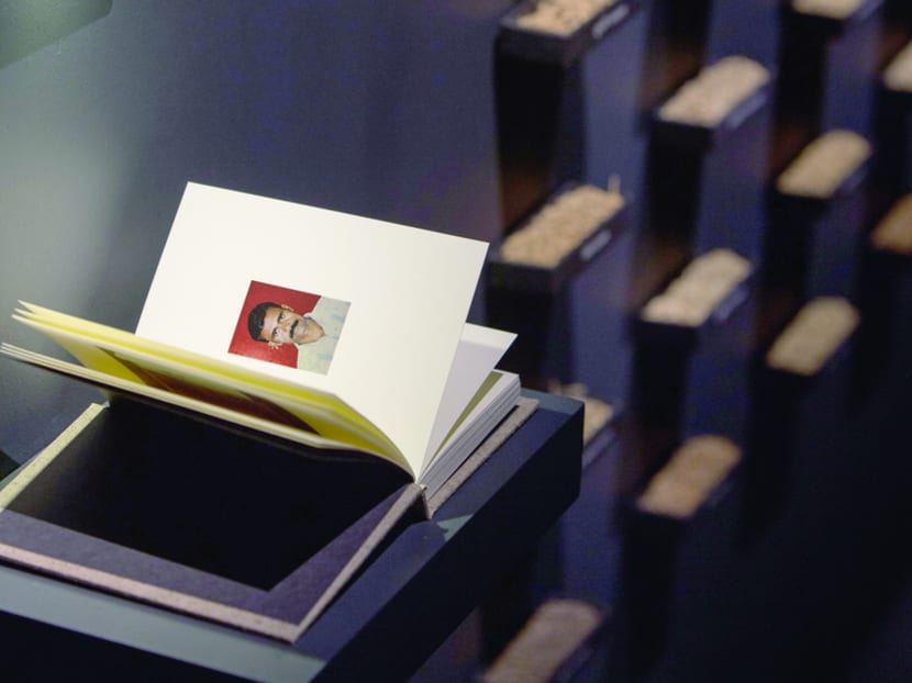 Art and agriculture: NTU centre takes on haze