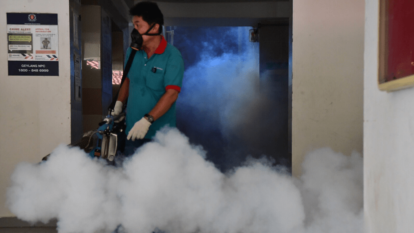 More mosquitoes or mutating virus? Experts have different views on dengue spike More mosquitoes or mutating virus? Experts have different views on dengue spike