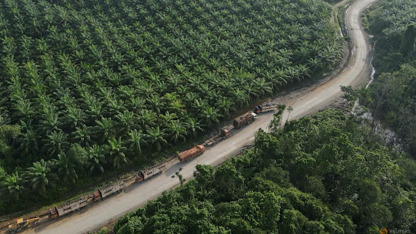 Indonesia to bring commodity exports under centralised control, president says