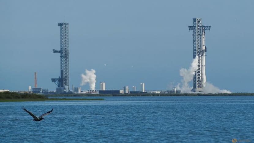 On brink of IPO, Musk's SpaceX already a household name, Reuters/Ipsos poll finds
