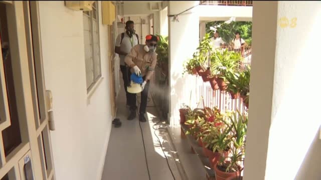 本地过去一周通报136起骨痛热症病例 大巴窑活跃区达11个