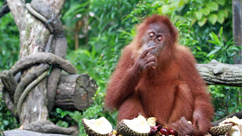 TODAY's morning brief for Wednesday, June 28